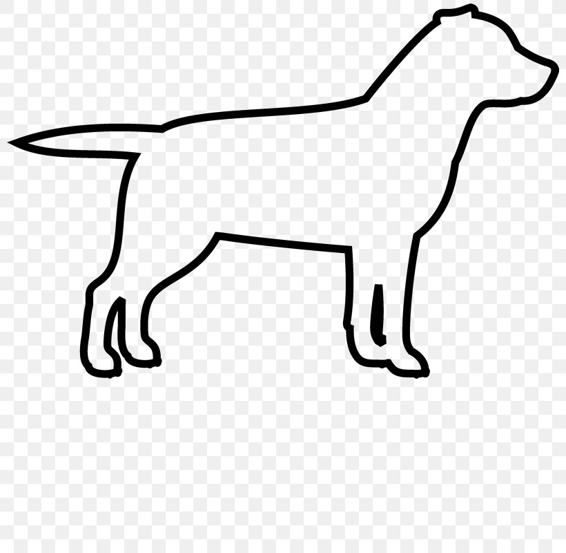 French Bulldog Puppy Labrador Retriever Maltese Dog, PNG, 800x800px, Bulldog, American Bulldog, American Pit Bull Terrier, Beagle, Bichon Frise Download Free