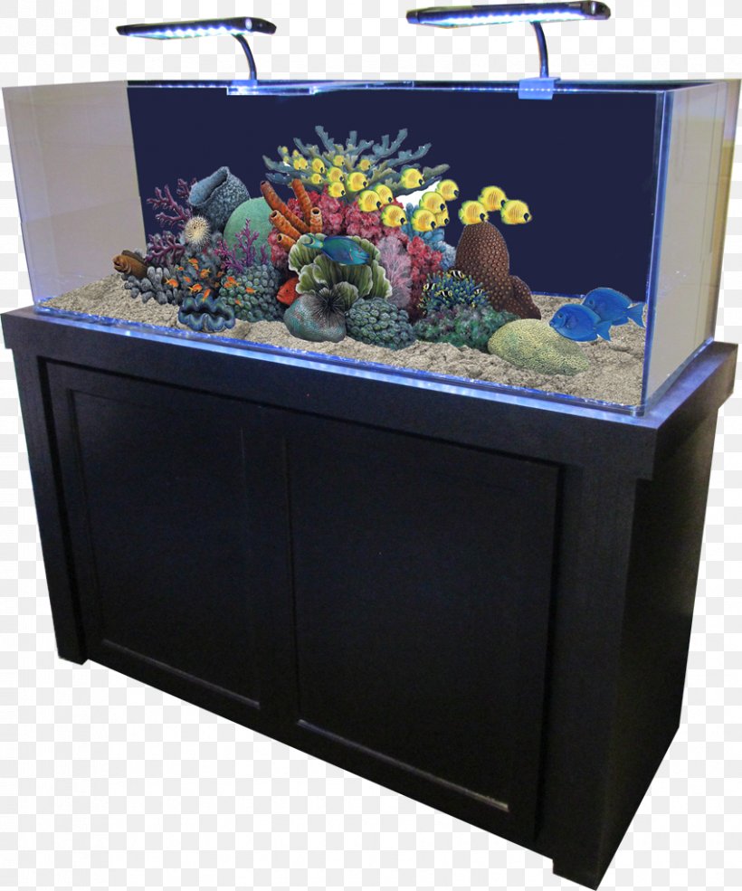 Reef Aquarium Gallon Aquarium Filters Aquariums, PNG, 850x1022px, Aquarium, Aquarium Filters, Aquarium Lighting, Aquariums, Cabinetry Download Free