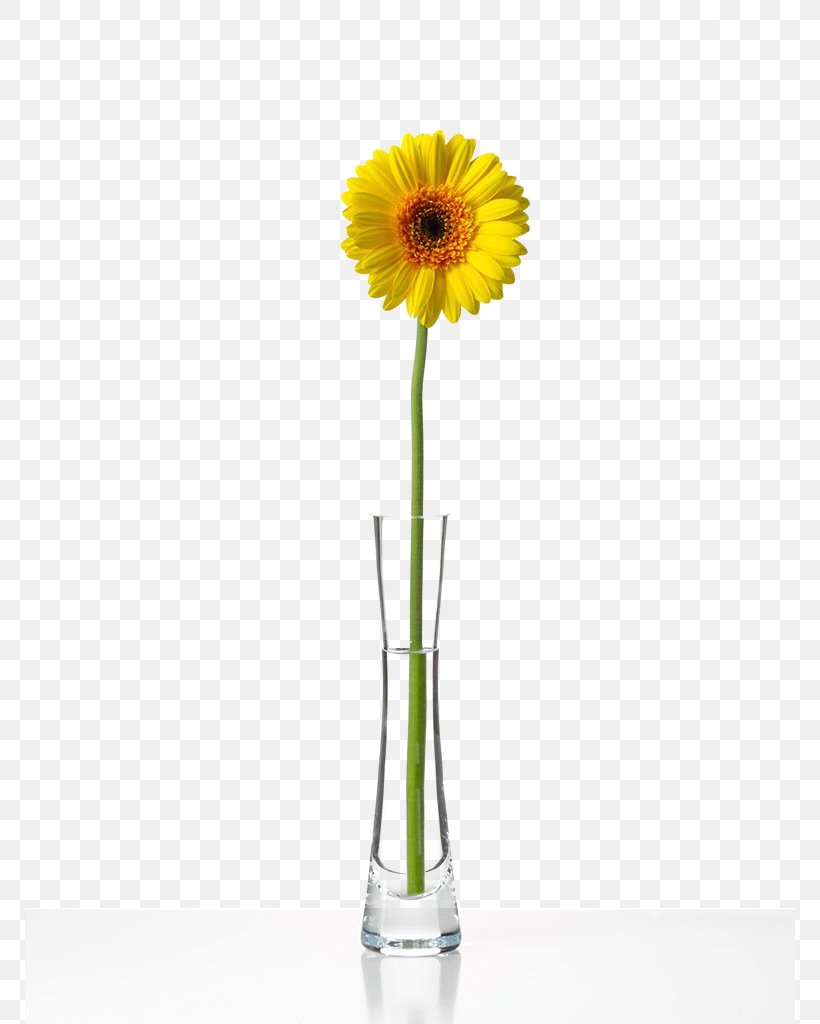 Transvaal Daisy Flower Bottle Chrysanthemum, PNG, 770x1024px, Transvaal Daisy, Bottle, Chrysanthemum, Cut Flowers, Daisy Family Download Free
