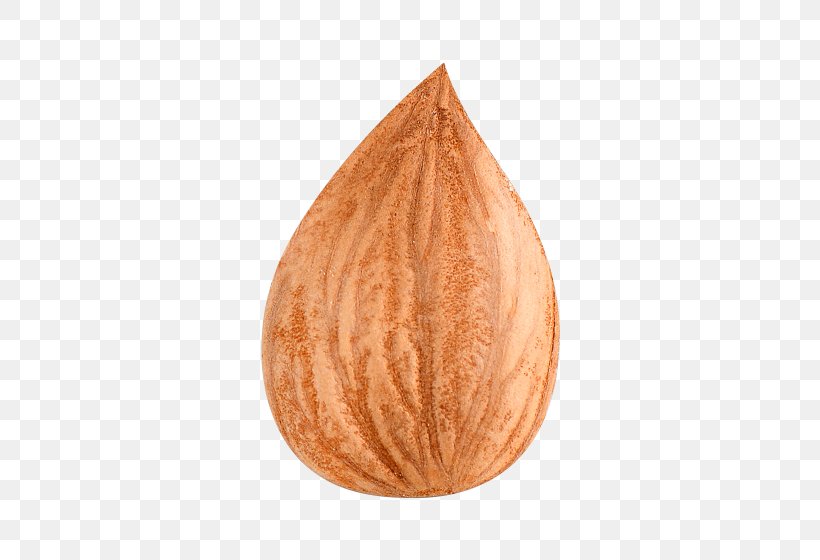 Apricot Kernel Dried Fruit, PNG, 560x560px, Apricot Kernel, Apricot, Cartoon, Chocolate, Commodity Download Free