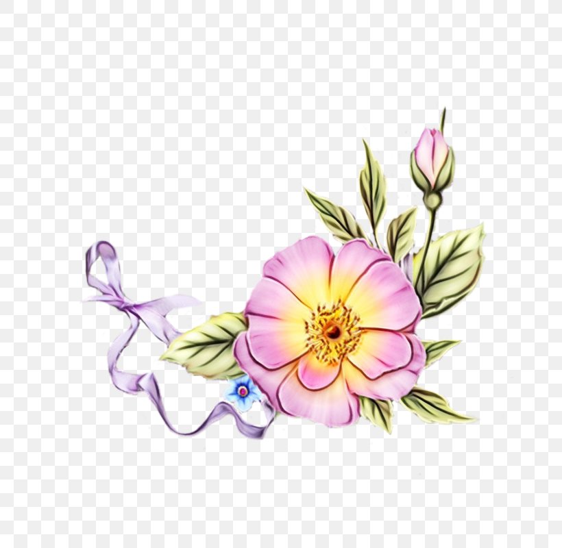 Clip Art Floral Design Illustration Image, PNG, 800x800px, Floral Design, Art, Borders And Frames, Decoupage, Drawing Download Free