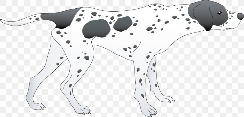 Dalmatian Dog Paw Cat Non-sporting Group Clip Art, PNG, 2086x1002px, Dalmatian Dog, Animal, Animal Figure, Artwork, Black And White Download Free