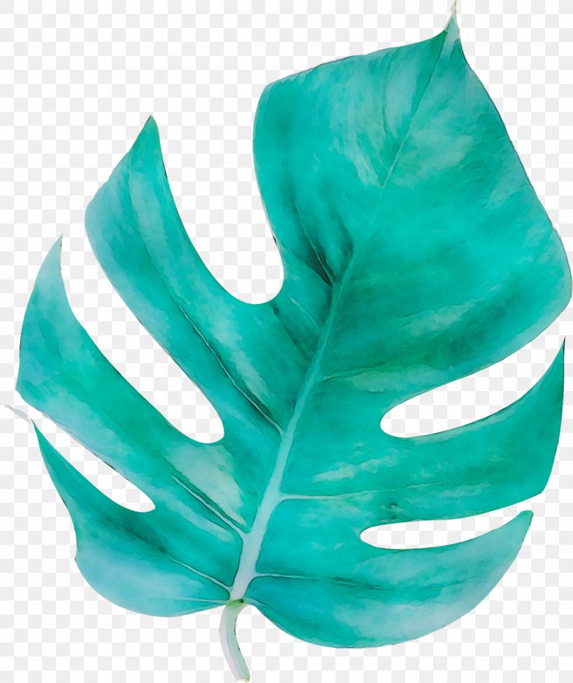 Leaf Turquoise, PNG, 1330x1587px, Leaf, Aqua, Green, Plant, Teal Download Free