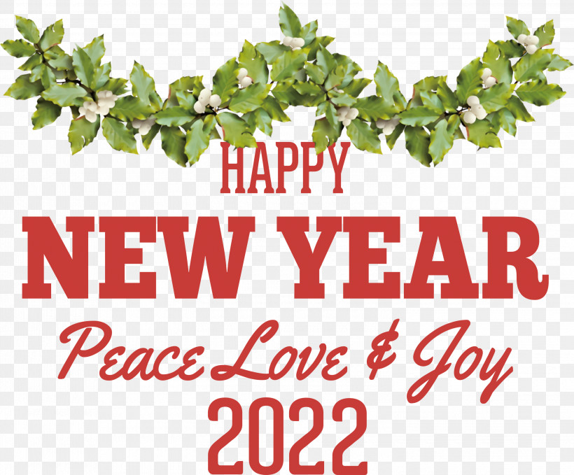 New Year 2022 2022 Happy New Year, PNG, 3000x2486px, New Year Card, Beauty Download Free
