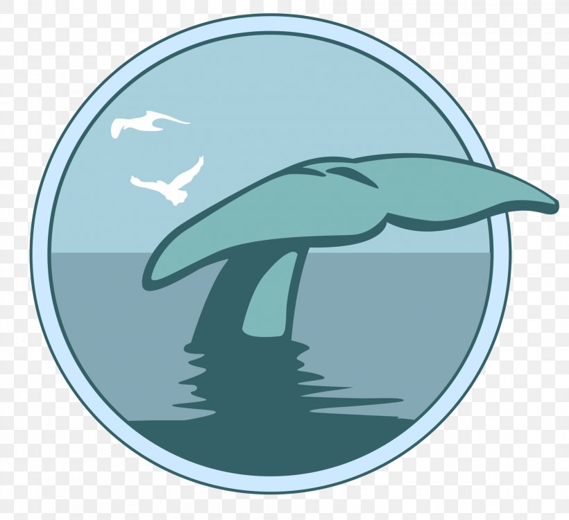 Whale's Tale Dolphin Marine Mammal Cetacea, PNG, 1892x1732px, Ale, Aqua, Azure, Blue Whale, Cetacea Download Free