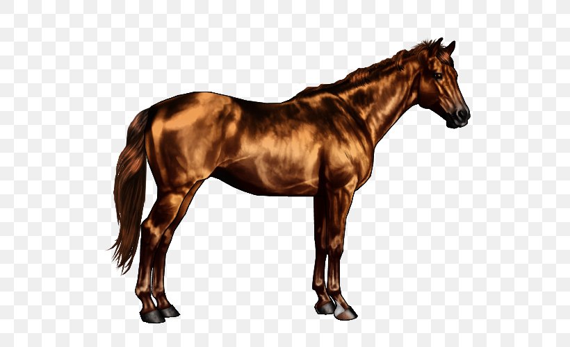 American Quarter Horse American Paint Horse Horse Markings Dun Locus Black, PNG, 600x500px, American Quarter Horse, American Paint Horse, Bay, Bit, Black Download Free