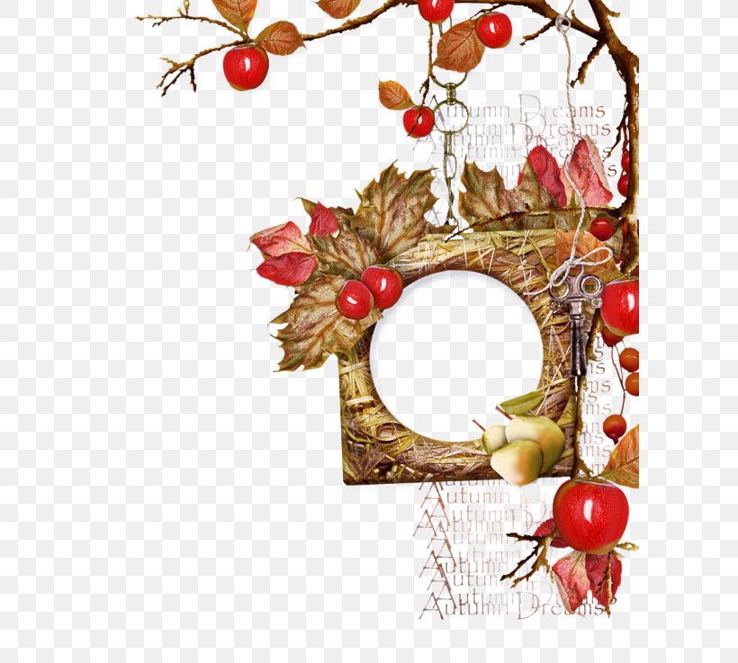 Christmas Decoration, PNG, 600x737px, Branch, Christmas Decoration, Holly, Interior Design, Plant Download Free