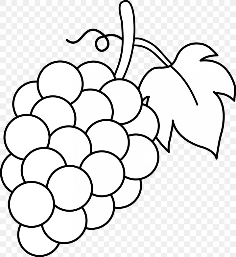 Common Grape Vine Wine Juice Clip Art, PNG, 830x905px, Common Grape Vine, Area, Black And White, Branch, Coloring Book Download Free