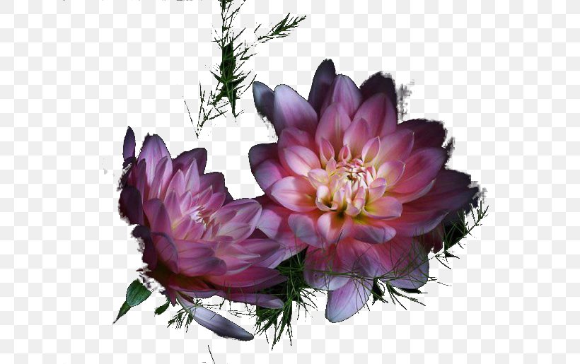 Floral Design Flower Diary Clip Art, PNG, 640x515px, Floral Design, Author, Beauty, Cut Flowers, Dahlia Download Free