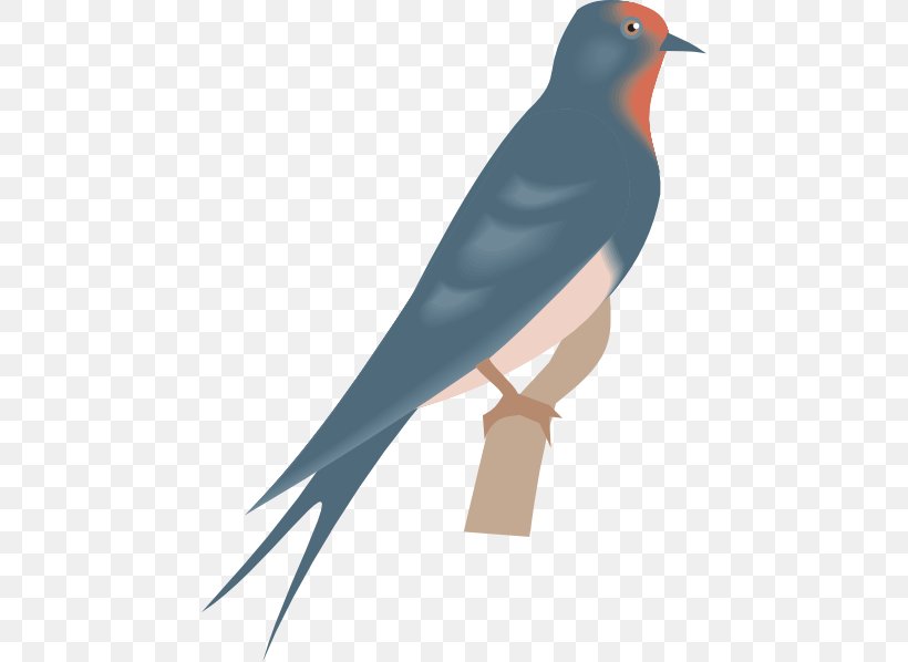 Swallow Bird Clip Art, PNG, 456x598px, Swallow, Barn Swallow, Beak, Bird, Blue Swallow Download Free