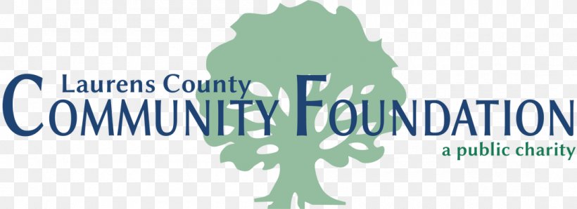 York County Community Foundation Laurens County, Georgia, PNG, 1100x401px, Community Foundation, Area, Brand, Charitable Organization, Community Download Free