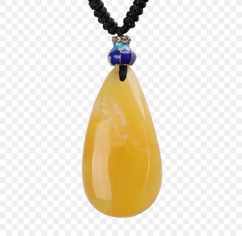 Amber Bee Pendant Necklace Gemstone, PNG, 800x800px, Amber, Bee, Beeswax, Fashion Accessory, Gemstone Download Free