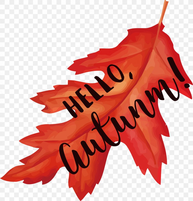 Autumn Home Page Maple Leaf, PNG, 2308x2410px, Autumn, Designer, Google Images, Home Page, Leaf Download Free