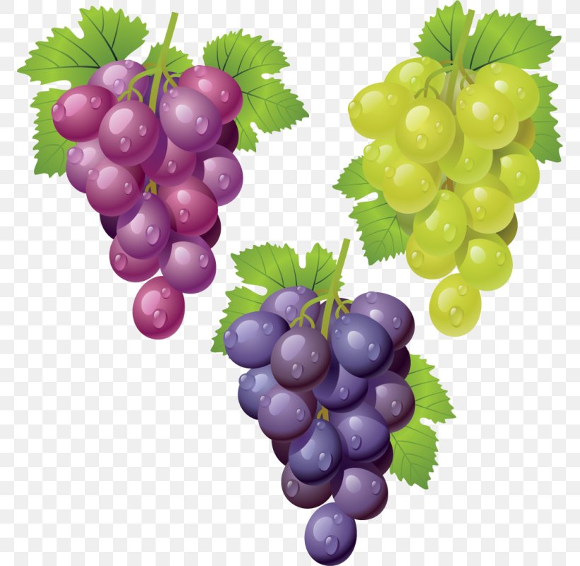 Common Grape Vine Wine Clip Art, PNG, 800x800px, Common Grape Vine, Drawing, Food, Fruit, Grape Download Free