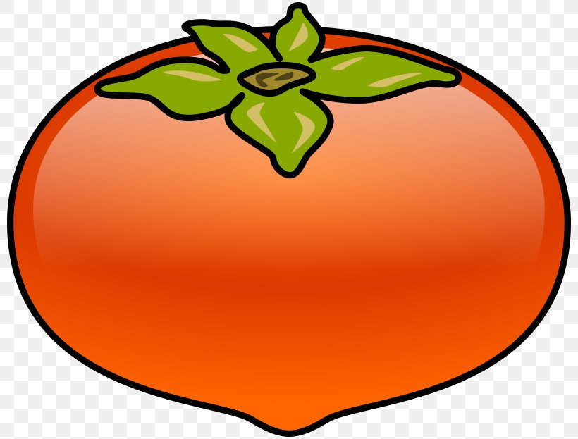 Japanese Persimmon Common Persimmon Clip Art, PNG, 800x623px, Persimmon, Apple, Area, Artwork, Common Persimmon Download Free