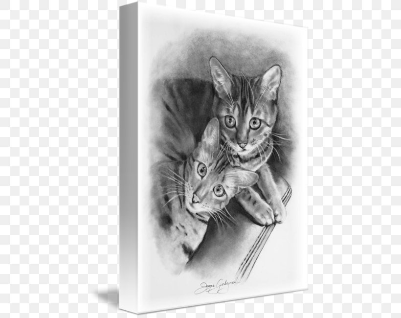 Bengal Cat Drawing Pencil Throw Pillows Sketch, PNG, 451x650px, Bengal Cat, Artwork, Black And White, Canvas, Carnivoran Download Free