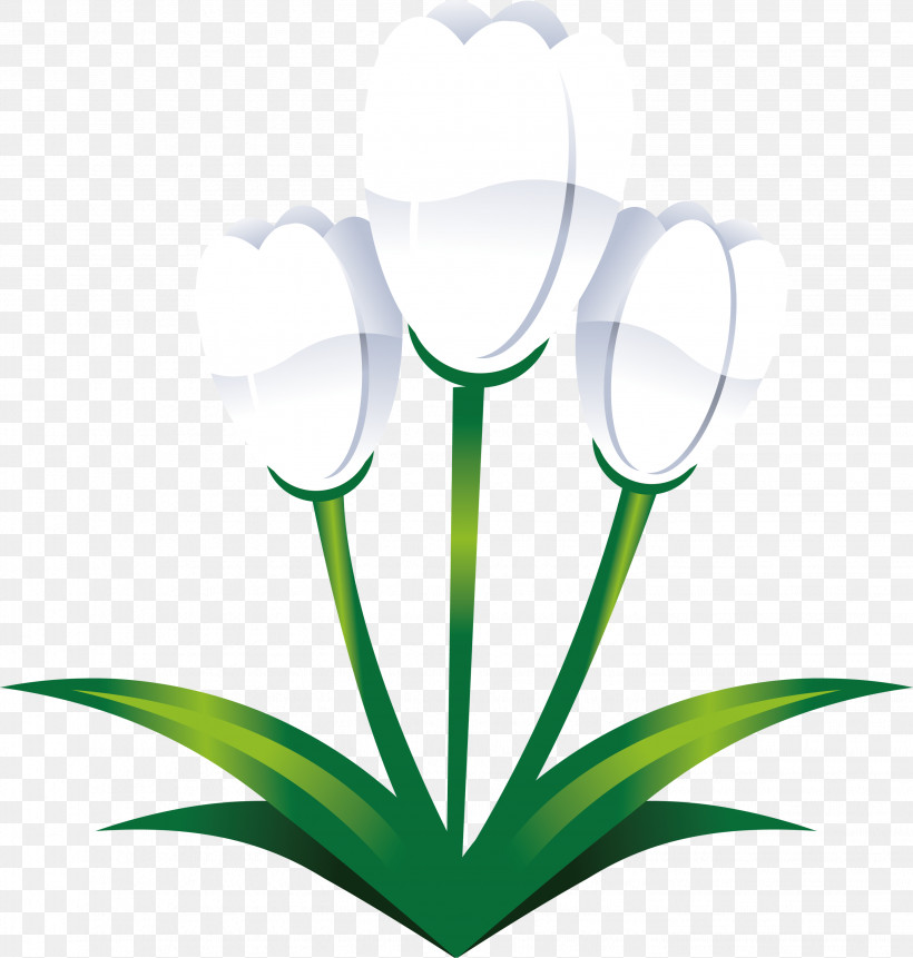Easter Flower Spring Flower, PNG, 2856x3000px, Easter Flower, Flower, Green, Houseplant, Plant Download Free