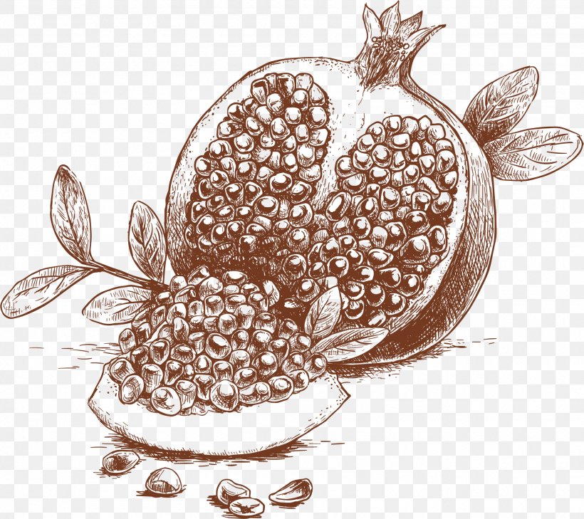 Organic Food Drawing Fruit Illustration, PNG, 1790x1593px, Organic Food, Drawing, Fruit, Jewellery, Peach Download Free