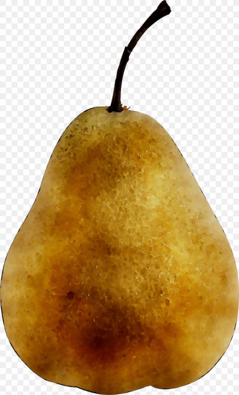Pear Fahrenheit, PNG, 1053x1737px, Pear, Asian Pear, Fahrenheit, Food, Fruit Download Free