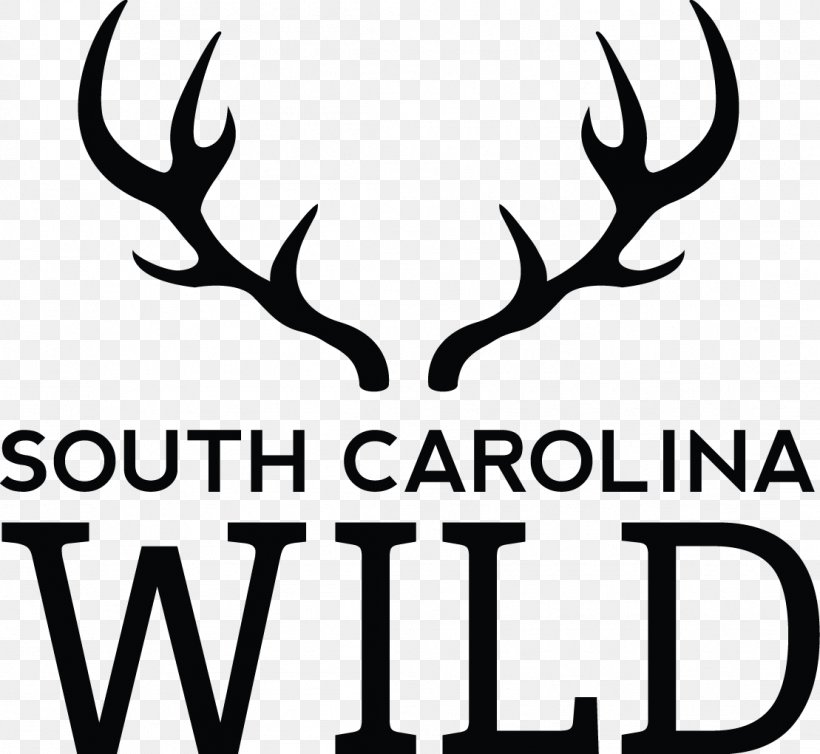 South Carolina Department Of Natural Resources Deer Wildlife Shop Equal Employment Opportunity Antler, PNG, 1109x1021px, Deer, Antler, Black And White, Brand, Color Download Free