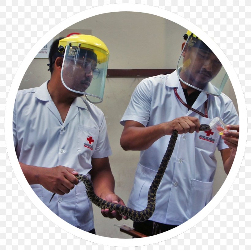 Headgear Service Personal Protective Equipment Product, PNG, 823x818px, Headgear, Personal Protective Equipment, Service Download Free