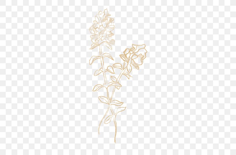 Petal Visual Arts Leaf Font, PNG, 540x540px, Petal, Art, Branch, Flora, Flower Download Free