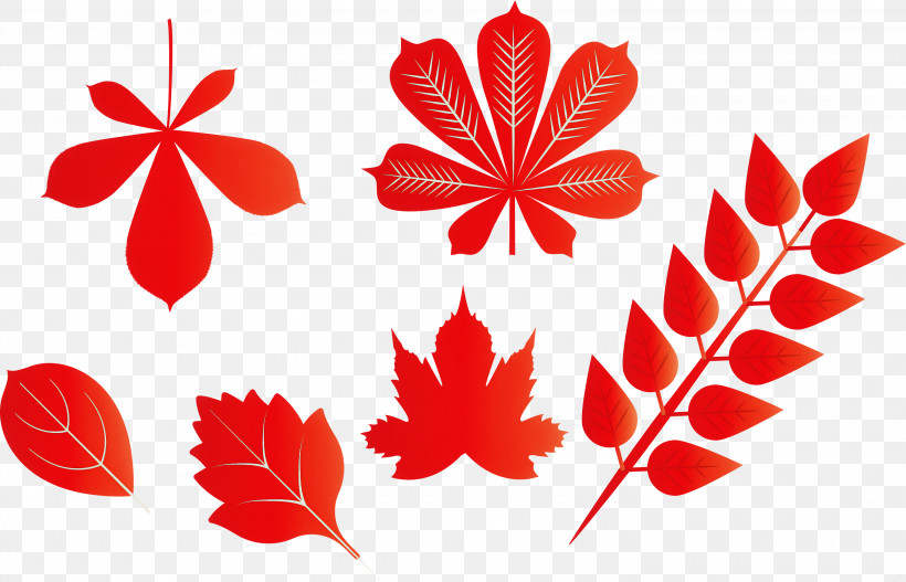Autumn Leaf Autumn Color, PNG, 3000x1930px, Autumn Leaf, Abstract Art, Autumn Color, Color, Coloring Book Butterfly Download Free