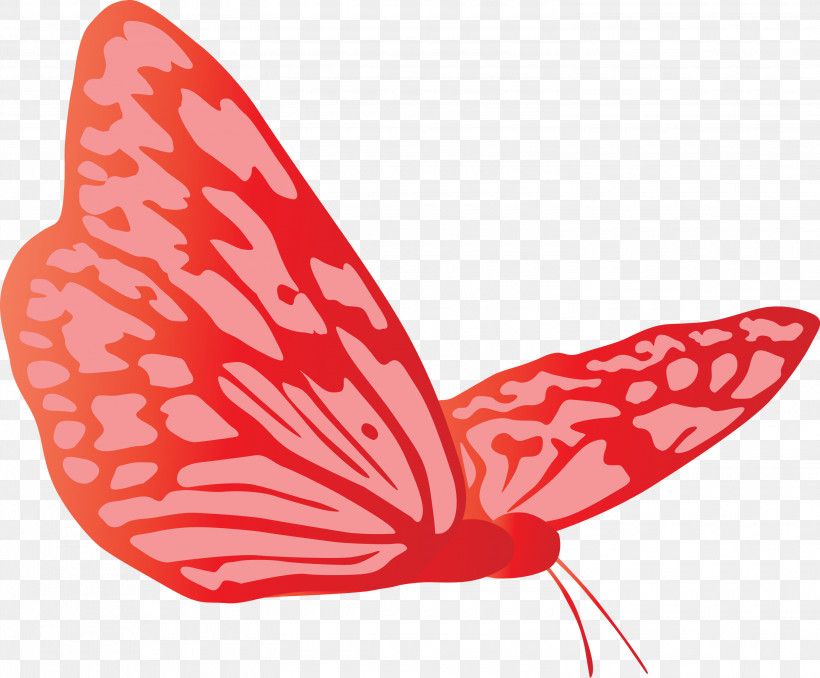 Butterfly, PNG, 3000x2481px, Butterfly, Anthurium, Moths And Butterflies, Red, Wing Download Free