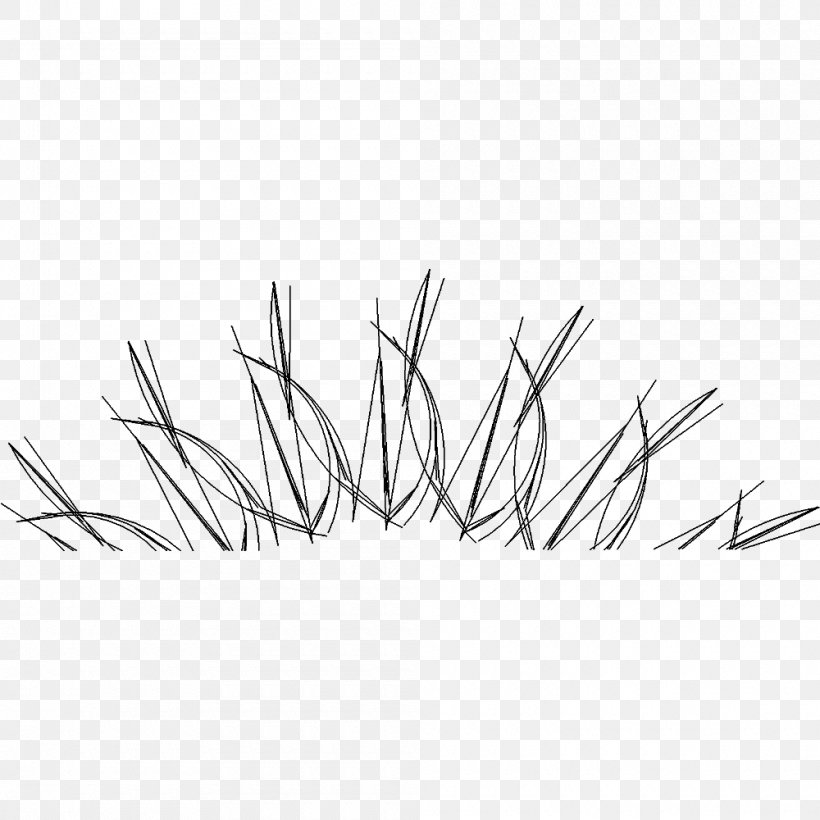 Line Art Angle Font, PNG, 1000x1000px, Line Art, Black And White, Branch, Grass, Grass Family Download Free