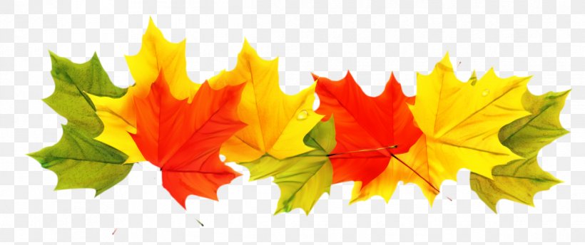 Autumn Leaf Color Clip Art Image, PNG, 1195x502px, Autumn Leaf Color, Autumn, Black Maple, Deciduous, Flowering Plant Download Free