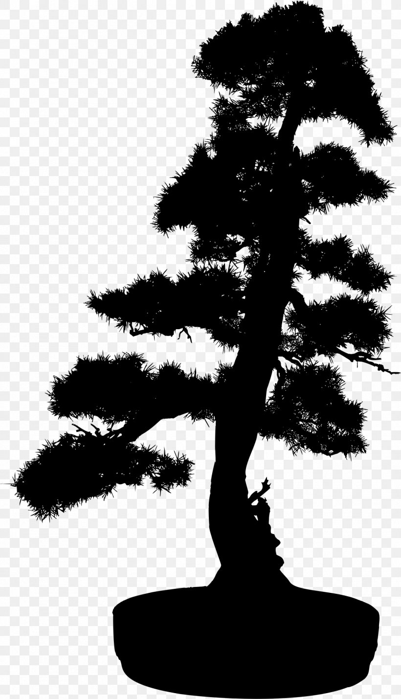 Bonsai Light Silhouette Tree Clip Art, PNG, 1296x2259px, Bonsai, Black And White, Branch, Conifer, Cutting Download Free