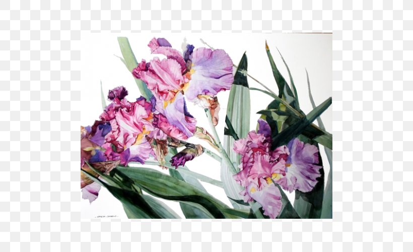Graphic Arts Watercolor Painting Canvas Print, PNG, 500x500px, Art, Artist, Canvas, Canvas Print, Cattleya Download Free