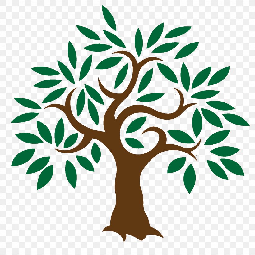Olive Learn About Trees Clip Art, PNG, 1598x1600px, Olive, Artwork, Branch, Flora, Flower Download Free