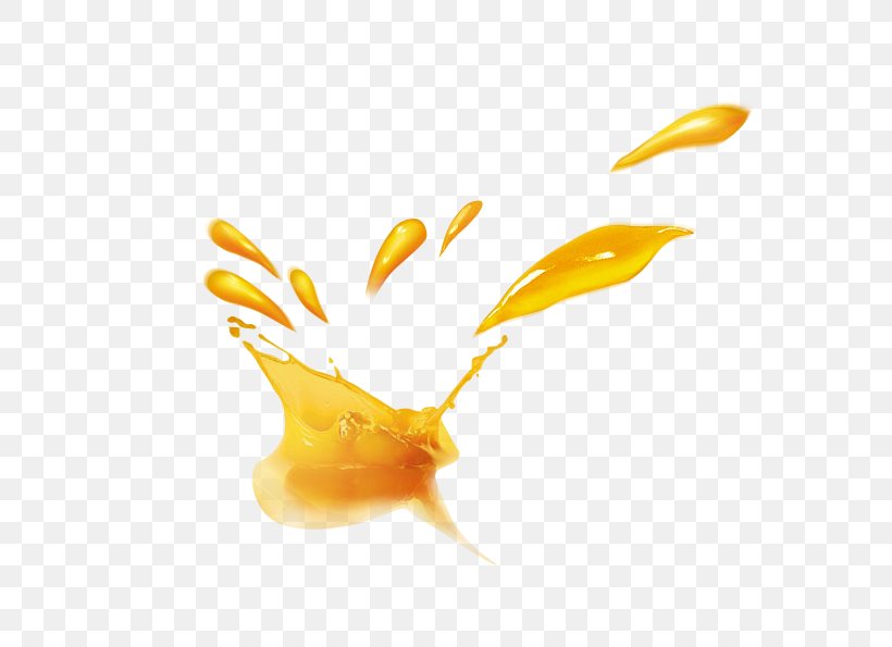 Orange Juice Fruchtsaft, PNG, 567x595px, Orange Juice, Cutlery, Drink, Fork, Fruchtsaft Download Free
