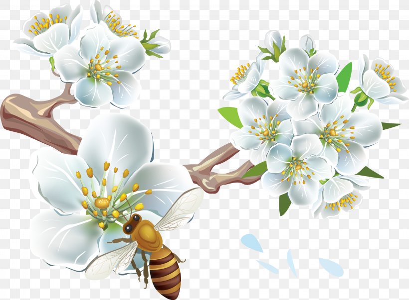 Bee Cherry Blossom Flower, PNG, 3253x2395px, Bee, Arthropod, Blossom, Branch, Bud Download Free