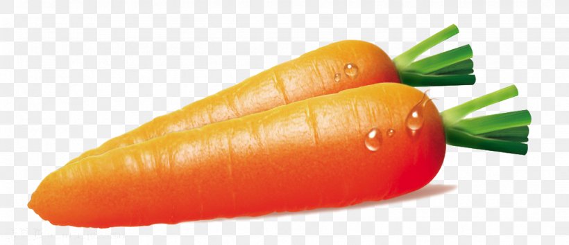 Carrot Vegetable Food Nutrition, PNG, 1024x443px, Carrot, Baby Carrot, Daucus Carota, Diet Food, Eating Download Free