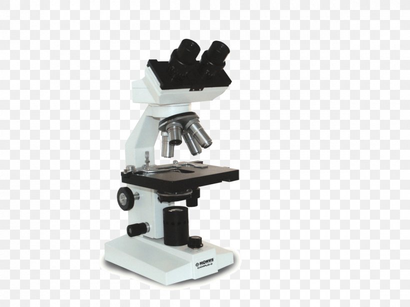 Microscope Campus Student Binoculars School, PNG, 1200x900px, Microscope, Achromatic Lens, Binoculars, Campus, College Download Free