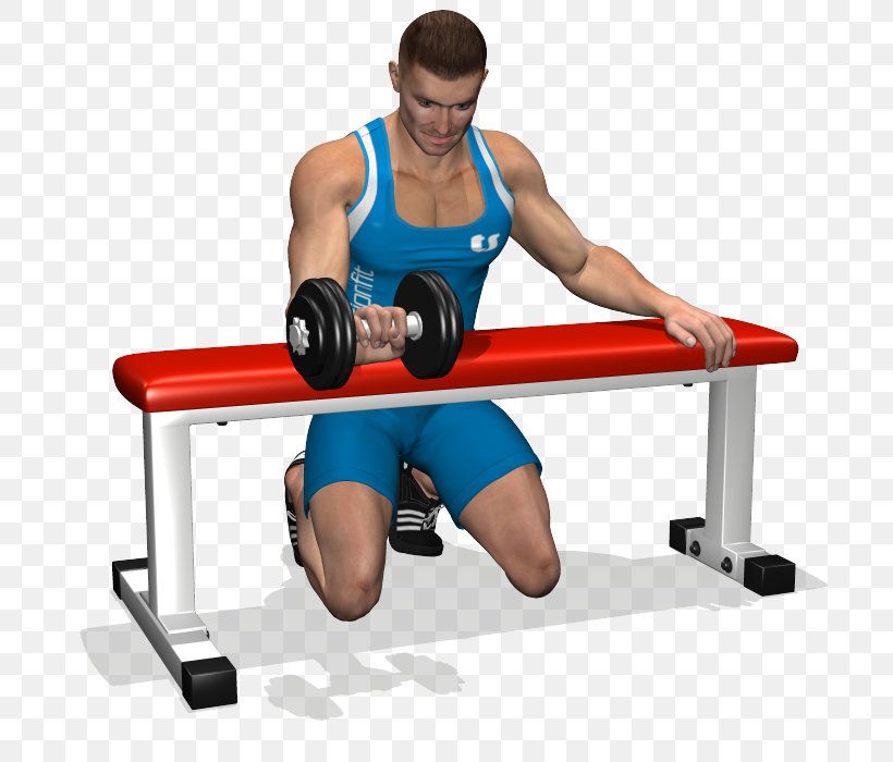 Weight Training Bench Wrist Curl Forearm, PNG, 700x700px, Watercolor, Cartoon, Flower, Frame, Heart Download Free