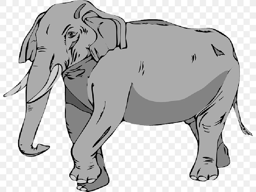 Asian Elephant African Elephant Clip Art Tusk, PNG, 800x617px, Asian  Elephant, African Elephant, Animal, Animal Figure,