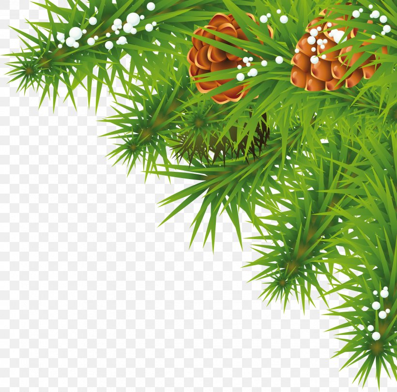 Christmas Ornament Christmas Decoration Clip Art, PNG, 2441x2412px, Christmas, Branch, Christmas Decoration, Christmas Ornament, Christmas Tree Download Free