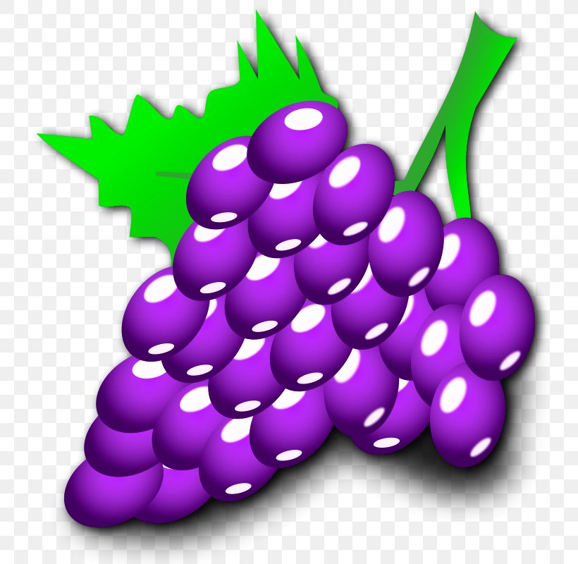 Common Grape Vine Cartoon Clip Art, PNG, 800x800px, Common Grape Vine, Animation, Cartoon, Drawing, Flowering Plant Download Free