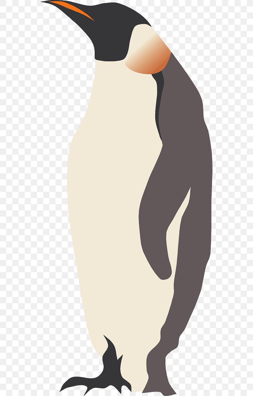 King Penguin Clip Art, PNG, 640x1280px, King Penguin, Beak, Bird, Fauna, Flightless Bird Download Free