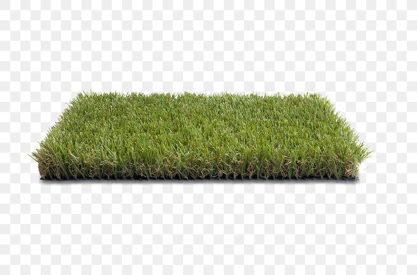 Lawn Grass Votre Pelouse Artificial Turf Garden, PNG, 720x540px, Lawn, Artificial Turf, Fiber, Garden, Gramado Download Free