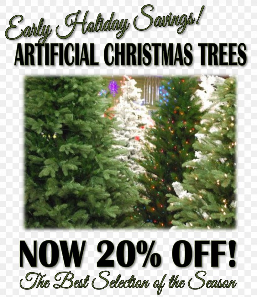 Christmas Tree Spruce Fir Evergreen Shrub, PNG, 2058x2379px, Christmas Tree, Christmas, Christmas Decoration, Conifer, Evergreen Download Free