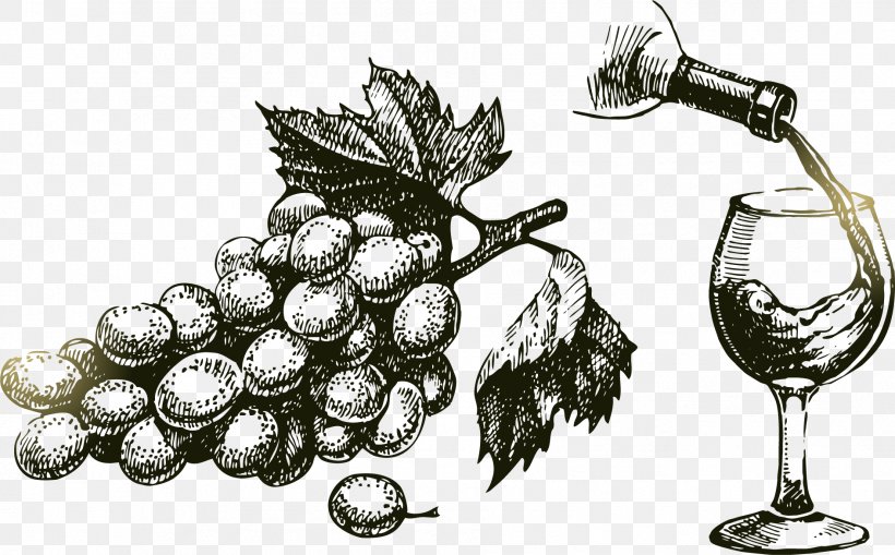 Wine Common Grape Vine Drawing, PNG, 1888x1173px, Wine, Bottle, Common Grape Vine, Drawing, Drinkware Download Free