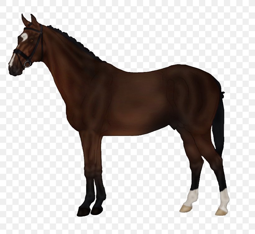 The Sims 3: Pets Horse Markings Saddle Horse Tack, PNG, 800x754px, Sims 3 Pets, Breyer Animal Creations, Bridle, Colt, Equestrian Download Free