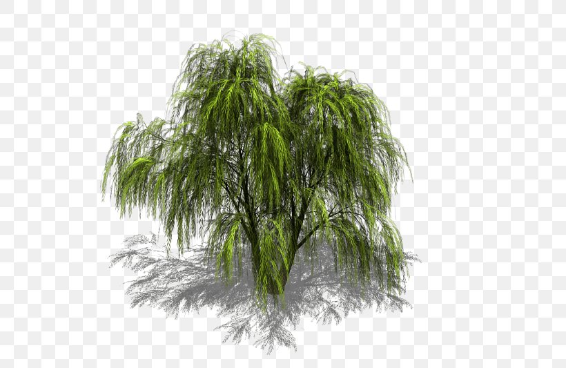 Tree Weeping Willow Sprite Isometric Graphics In Video Games And Pixel Art, PNG, 531x533px, Tree, Birch, Branch, Evergreen, Game Download Free