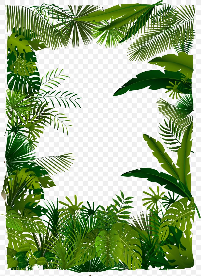 Tropical Forest Euclidean Vector Tree Illustration, PNG, 1591x2186px, Tropical Forest, Arecaceae, Arecales, Forest, Grass Download Free