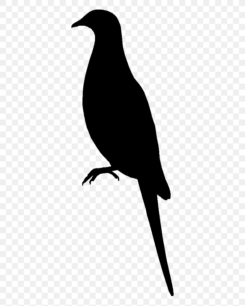 American Crow Silhouette Black Common Raven White, PNG, 640x1024px, American Crow, Beak, Bird, Black, Black And White Download Free