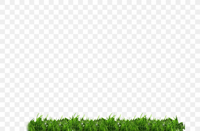 Green Download Icon, PNG, 2000x1314px, Green, Grass, Meadow, Rectangle, Search Engine Download Free